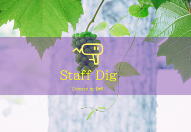 最新ニュースまとめ「StaffDig」Vol.17（10/11週）